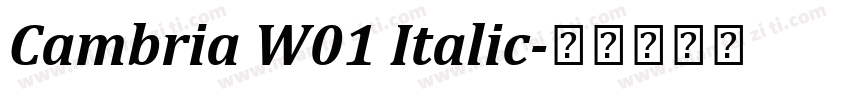 Cambria W01 Italic字体转换